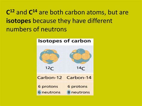 how are isotopes c12 and c14 similar to each other